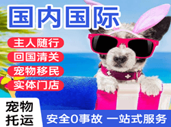 喀什徕宁机场快运国际宠物托运 【国